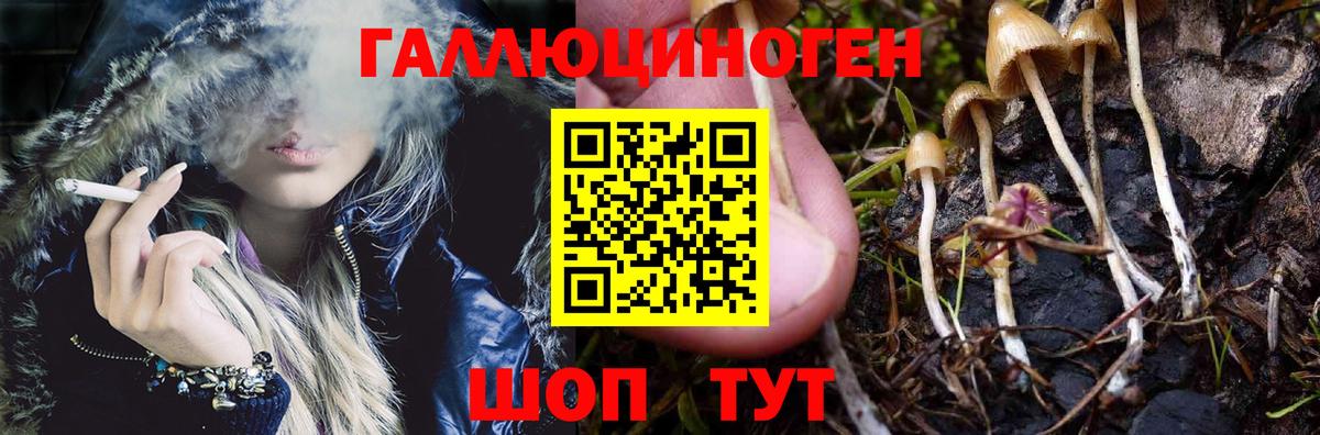 Куйбышев  наркошоп  Вход с VPN  Псилоцибиновые грибы ЛСД  Псилоцибиновые грибы прущие грибы 